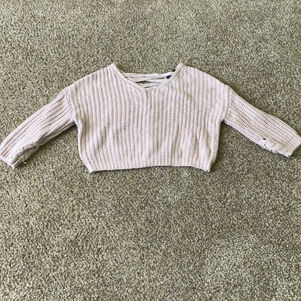 Witty Fox Women’s Crop Sweater